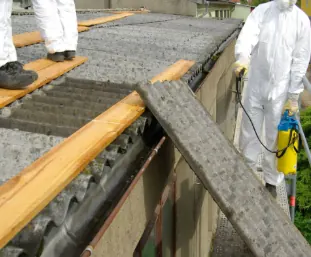 Asbestos testing service